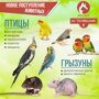 Новое поступление животных
