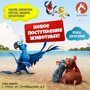 Поступление птиц и грызунов